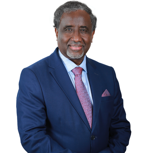 Mustafa Hamed Bashir